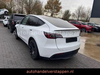 Vaurioauto  passenger cars Tesla Model 3 Model Y Performance Dual AWD 393KW 2024/4