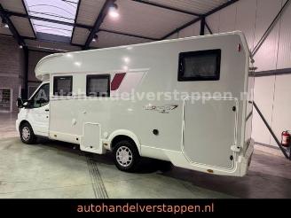 Roller Team   picture 8