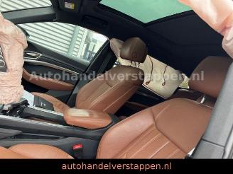 Audi Q8 e-tron 55 Quattro S line Panorama picture 17