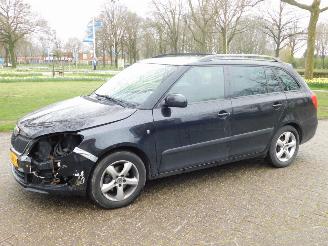 Voiture accidenté Skoda Fabia 1.2 2010/6