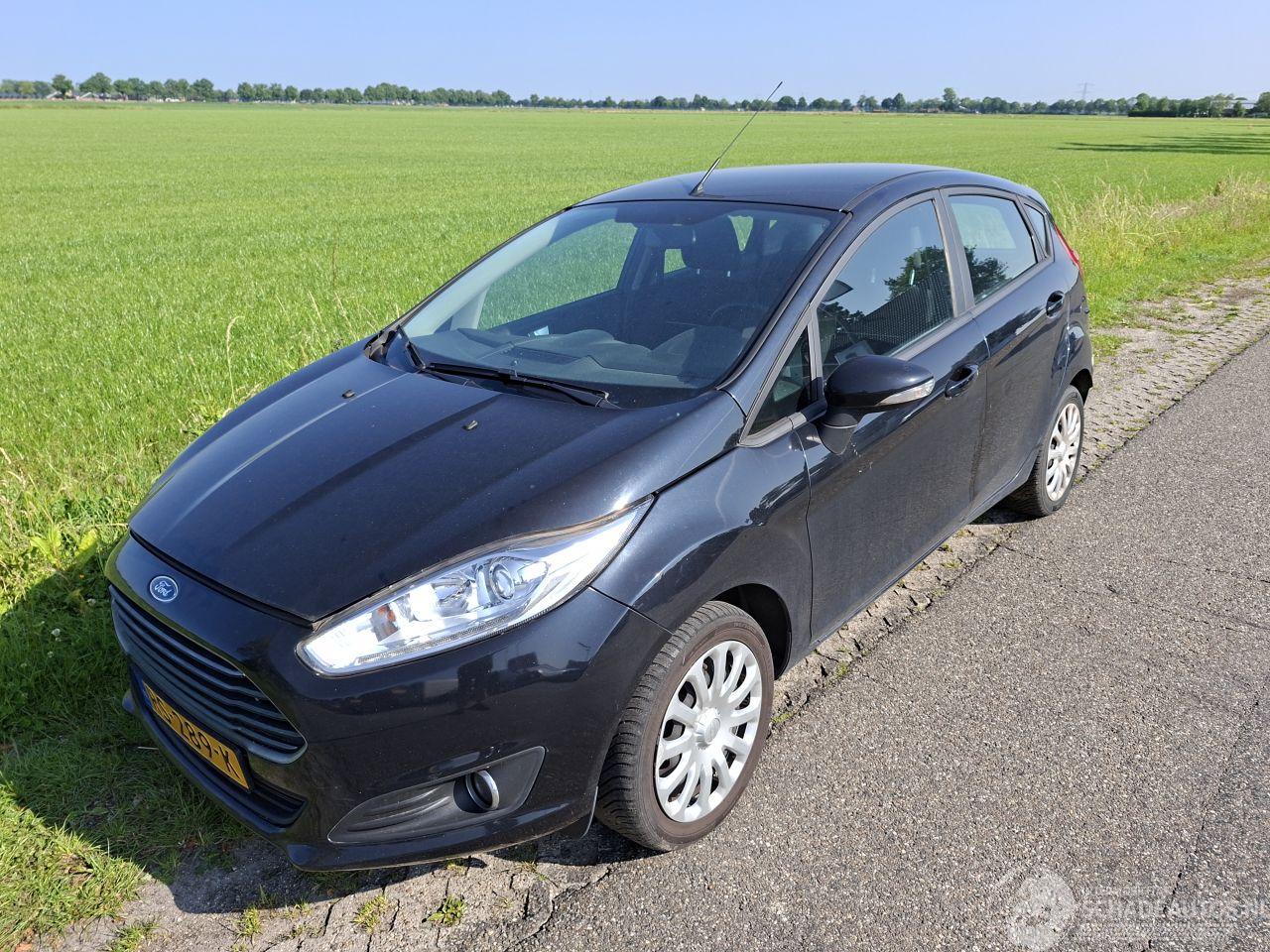 Ford Fiesta 1.0 ecoboost