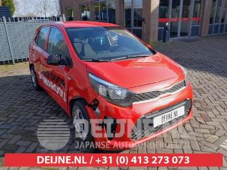 disassembly passenger cars Kia Picanto Picanto (JA), Hatchback, 2017 1.0 12V 2019/2