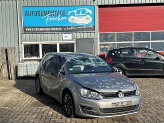  Volkswagen Golf Golf VII (AUA), Hatchback, 2012 / 2021 1.6 TDI 16V 2013/10
