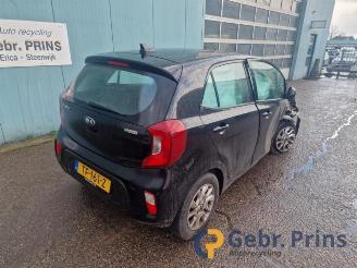 Kia Picanto Picanto (JA), Hatchback, 2017 1.0 12V picture 3