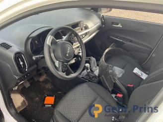 Kia Picanto Picanto (JA), Hatchback, 2017 1.0 DPi 12V picture 5