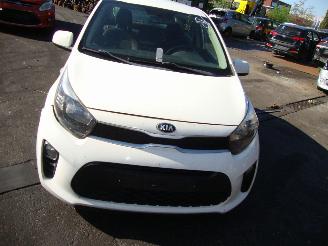 Kia Picanto  picture 2