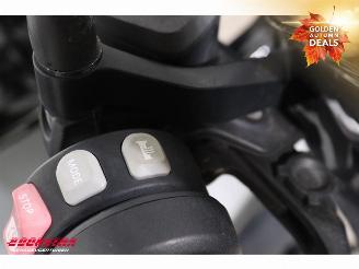 BMW R 1200 GS 3X Pakket ESA Cruise Heizgriffe picture 18
