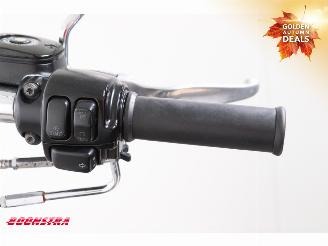 Harley-Davidson  FLSTC Softail Heritage LED picture 12
