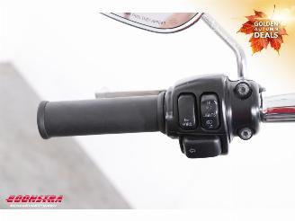 Harley-Davidson  FLSTC Softail Heritage LED picture 11