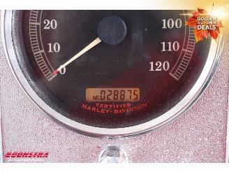 Harley-Davidson  FLSTC Softail Heritage LED picture 10
