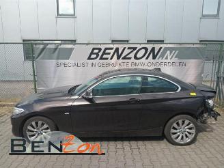 disassembly passenger cars BMW 2-serie 2 serie (F22), Coupe, 2013 / 2021 218d 2.0 16V 2014/7