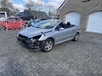  Peugeot 307  2005/3