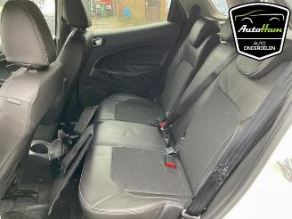 Ford EcoSport  picture 20