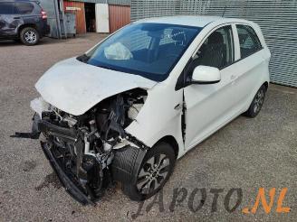 demontáž osobní automobily Kia Picanto Picanto (TA), Hatchback, 2011 / 2017 1.0 12V 2016/11