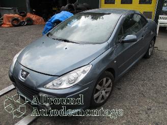 Autoverwertung Peugeot 307 307 CC (3B) Cabrio 2.0 16V (EW10J4(RFN)) [100kW]  (10-2003/06-2005) 2004