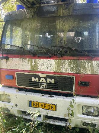 MAN  15 LL picture 4