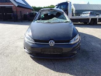Démontage voiture Volkswagen Golf Golf VII (AUA), Hatchback, 2012 / 2021 1.6 TDI BMT 16V 2019/1