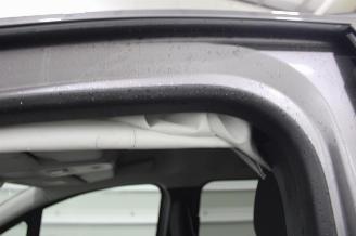 Renault Kangoo  picture 24