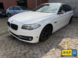  BMW 5-serie BMW F11 520XD B47D20 Alpineweiss 3 2014/1