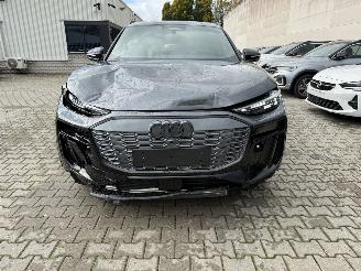 Audi Q6 Q6 e-Tron 306 pk Performance  S-line /Panorama picture 2