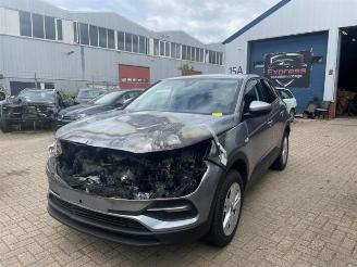 Opel Grandland Grandland (X), SUV, 2017 1.5 CDTI 130 picture 1